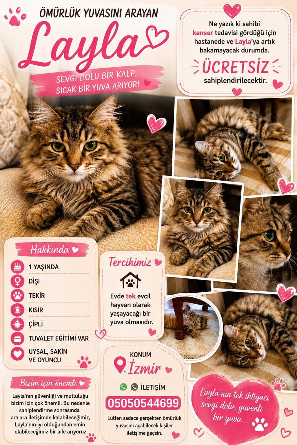 Layla Tekir Kedi, İzmir