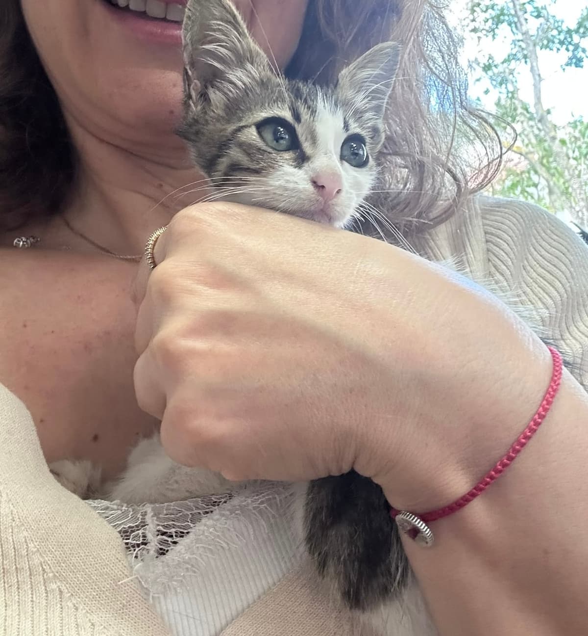 Şakir Tekir Kedi, İstanbul