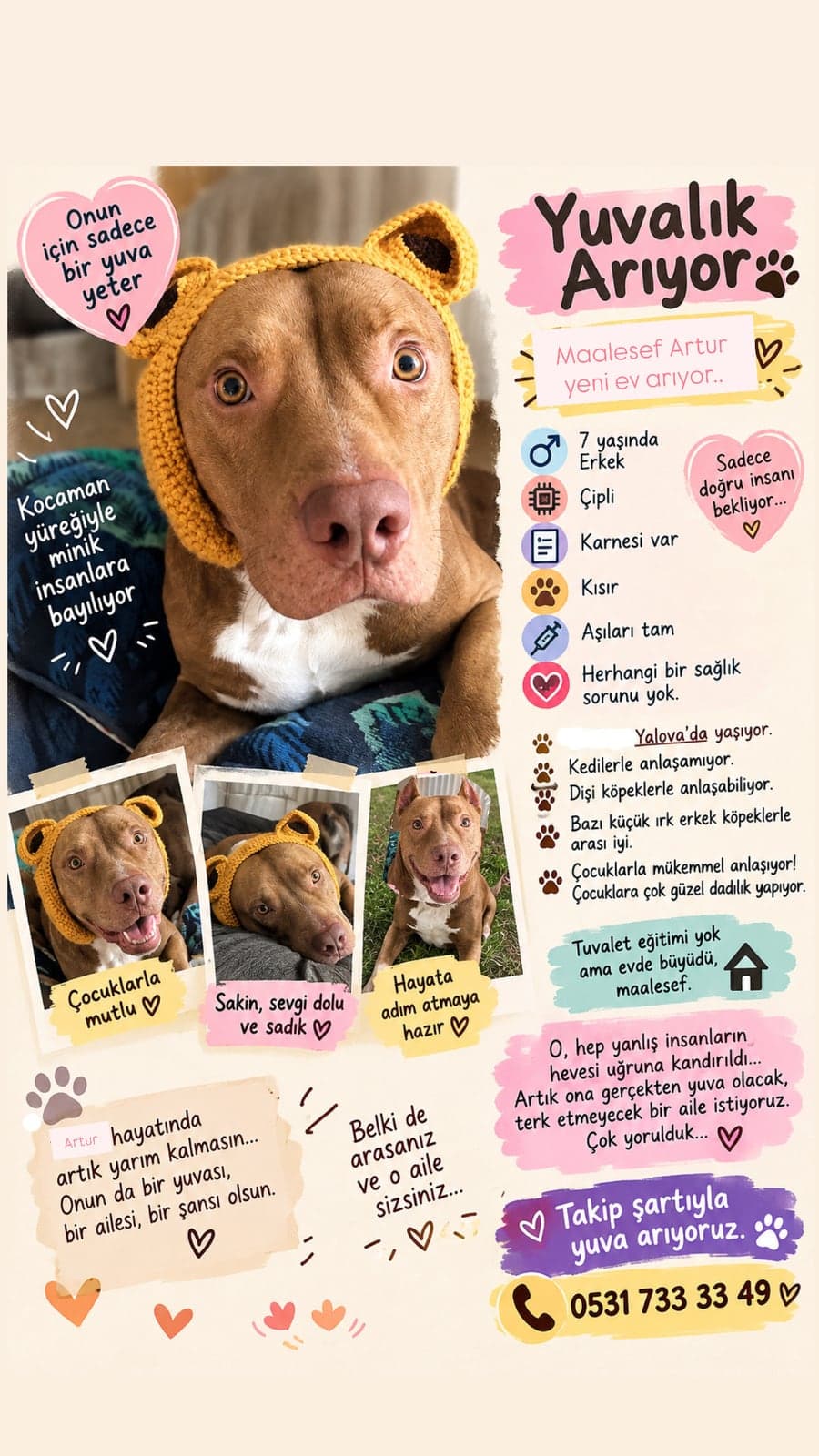 Köpek · Köpek Bilmiyorum Köpek, İstanbul