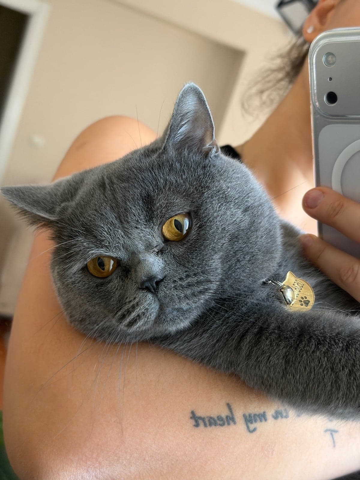 Duman Bilmiyorum Kedi, İstanbul