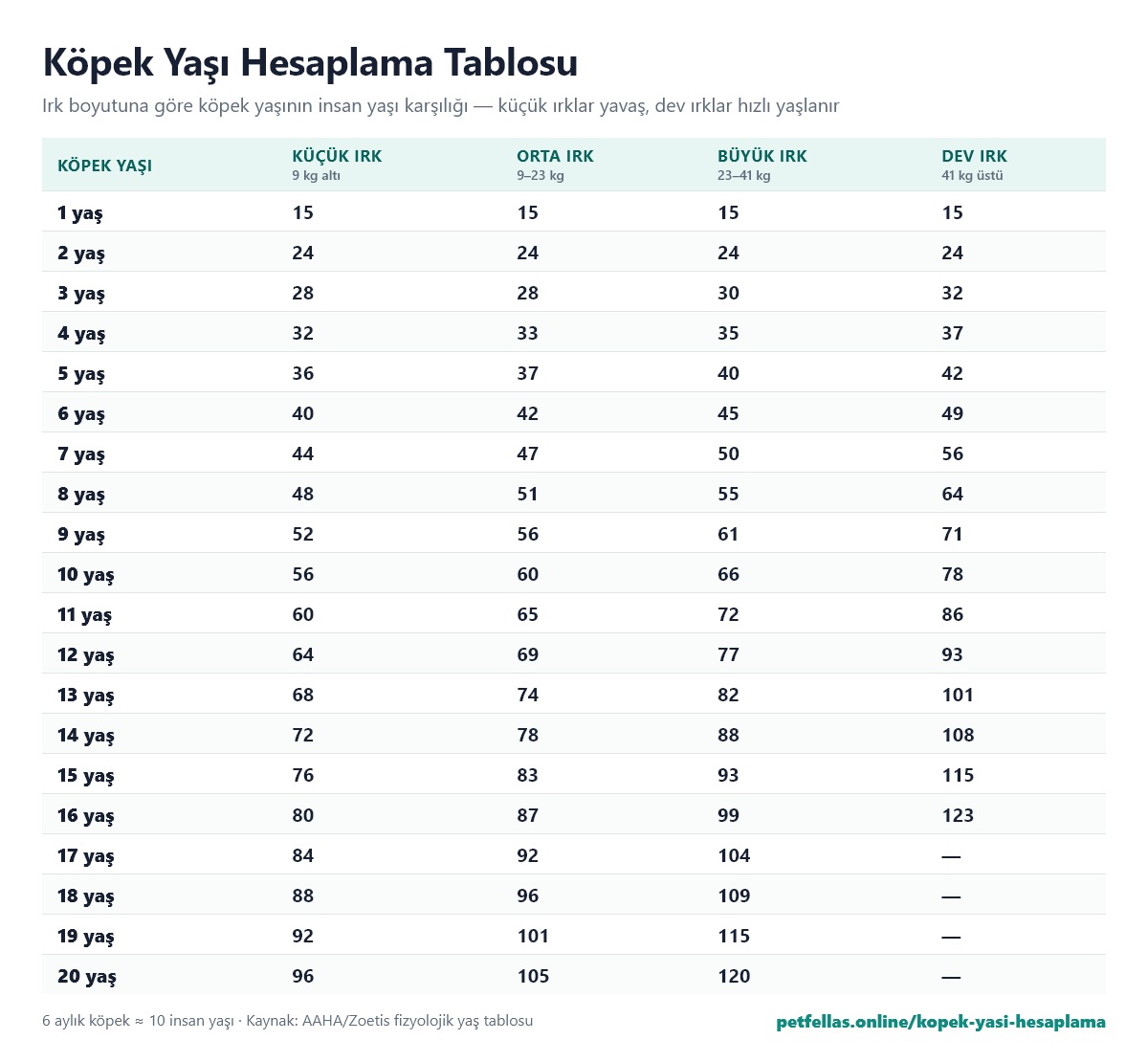 Köpek yaşı hesaplama tablosu: ırk boyutuna göre köpek yaşının insan yaşı karşılığı, 1-20 yaş